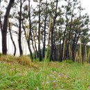 망상제2캠핑장 이미지