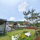 그하루 애견펜션 이미지