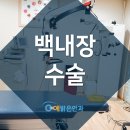 예밝은안과의원 이미지