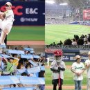 라이프파트너 이미지