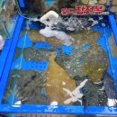 강화도청정수산