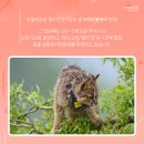 종보기획
