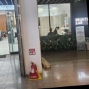 명동미용실 네이버블로그