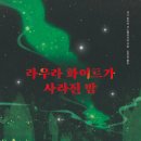 라우라 화이트가 사라진 밤 - 파시 일마리 야스켈라이넨 이미지