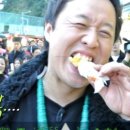 서울애견 이미지