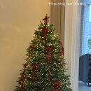 종화동 582 이미지