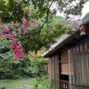 지리산물푸레흙집펜션 | 산청 지리산 물푸레흙집펜션 첫날밤 후기!!!(2박3일 중산리 계곡 후기)