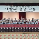 인삼사랑