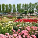 곡성-219 이미지