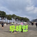 쓰레기 없는 마라톤 무해런 2026 참가 10km 완주 후기