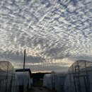 형도농장 이미지