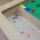 반월초교병설유치원 이미지