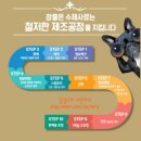 펫앤바이오 이미지