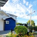 스테이청포 이미지