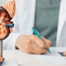 신성호 심장혈관흉부외과의원 | 침묵의 살인자 '만성 신부전'… "고혈압·당뇨 있다면 더욱 위험해"