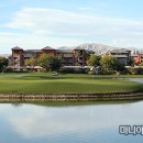 테라골프(TERRA GOLF)