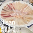 목화횟집 | 울산 삼산횟집 정자 참가자미 회 맛으로 승부하는 찐 맛집