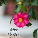 ♤오늘날의 새로운 3대 성자(聖者)♧ 이미지