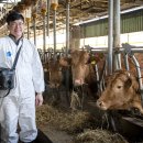 버팔로 동물병원 이미지