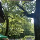 표충사 | 밀양 표충사 계곡 물놀이 후기 ( 주차, 스노쿨링 포인트, 위치 )🐟
