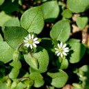 2020-주143 이미지