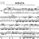 손 혈자리 수지요법 이미지