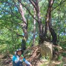 진원농장 이미지