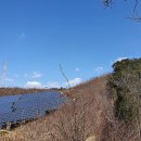 삼경태양광발전소 이미지