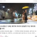 메디올타 | 블로그 운영 3월 한달 결산해봤습니다. 좌충우돌 했지만 아직 희망은 계속 유효합니다.
