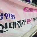 배우리댄스스포츠 이미지