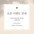 파파독 동해 이미지