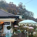 합천주유소 | 경남 합천 카페 시골감성 정양카페 내돈내산