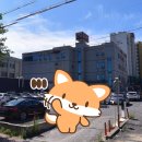 원동온천사우나 이미지