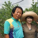 대환농장 이미지