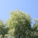 금화초등학교 이미지