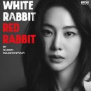 화이트래빗 이미지