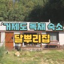[거제도] 거제도 숙소 추천 🏡 감성 충만 달뿌리집 후기