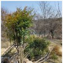 남천농산