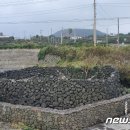 김녕리 서문하르방당 이미지