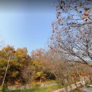 뒷골녹지 이미지