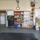 반딧불 카센타 이미지