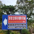 고모산성(오미자 테마터널) | 문경 오미자테마터널과 고모산성