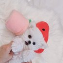 품안에위생관리