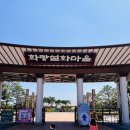 카페봄봄 영천금호점 | 대구 근교 영천 아이랑 실내 키즈카페 화랑배움터 이용