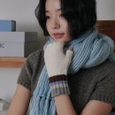올인 이미지