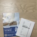 여성청결제만으로 부족할 때 Y존탄력 관리 보나데아궁 사용 후기