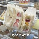 행운목 | 동물성 과일산도 케이크 맛집, 부산 해운대 카페 그여행 내돈내산 후기
