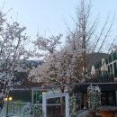 물댄동산 이미지