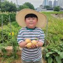 버클리어린이집 이미지