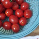 이뻐라네일